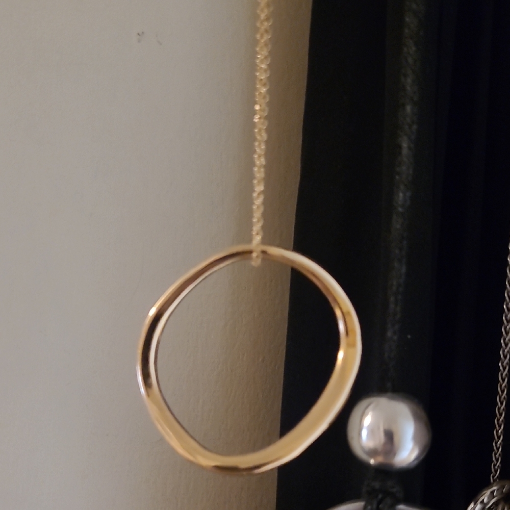 Elegant Gold Circle Pendant Necklace